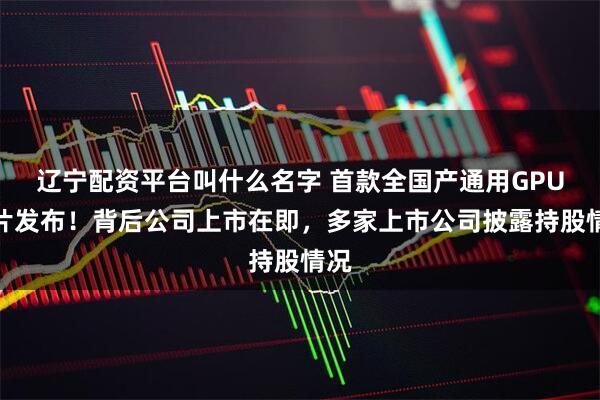 辽宁配资平台叫什么名字 首款全国产通用GPU芯片发布！背后公司上市在即，多家上市公司披露持股情况