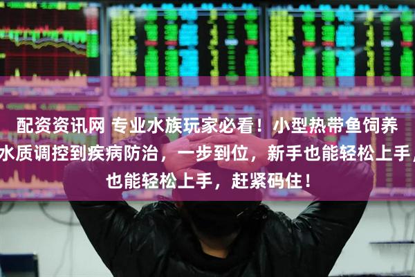 配资资讯网 专业水族玩家必看！小型热带鱼饲养全攻略，从水质调控到疾病防治，一步到位，新手也能轻松上手，赶紧码住！